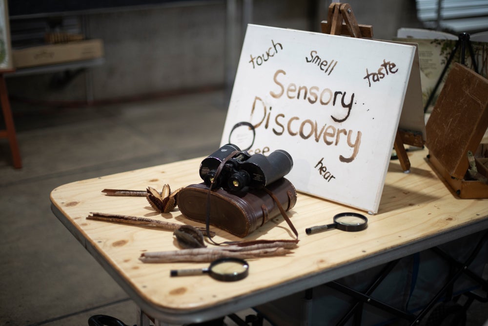 School Incursion Workshop Program